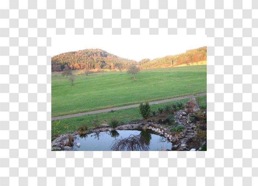 Property Land Lot Water Resources Reservoir Pasture - Tree Transparent PNG