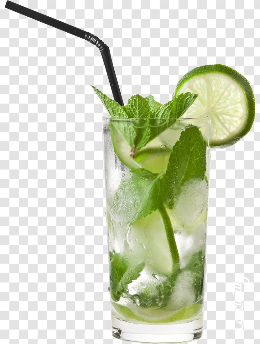 Mojito Cocktail Juice Fizzy Drinks Beer - Lemon Lime Transparent PNG