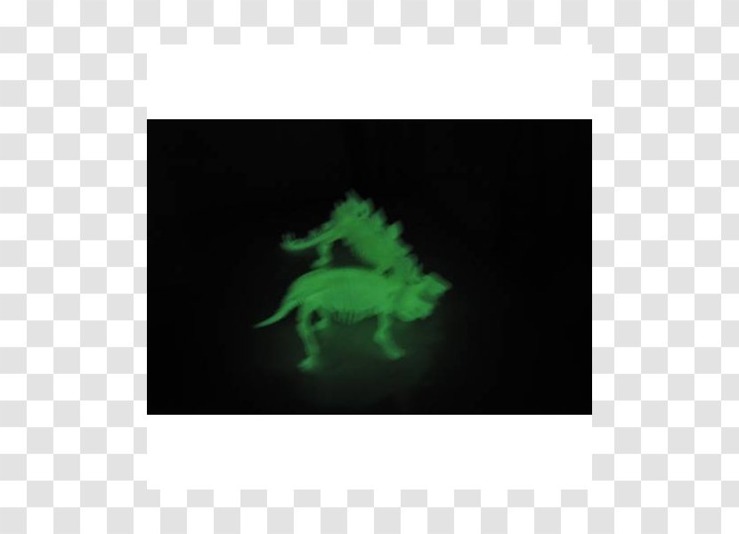 Organism - Green Transparent PNG