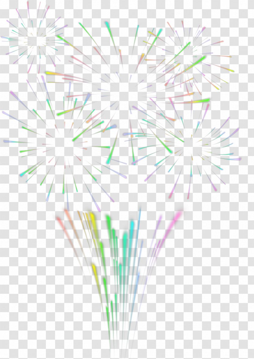 Graphic Design Petal Pattern - Point - Fireworks Transparent PNG