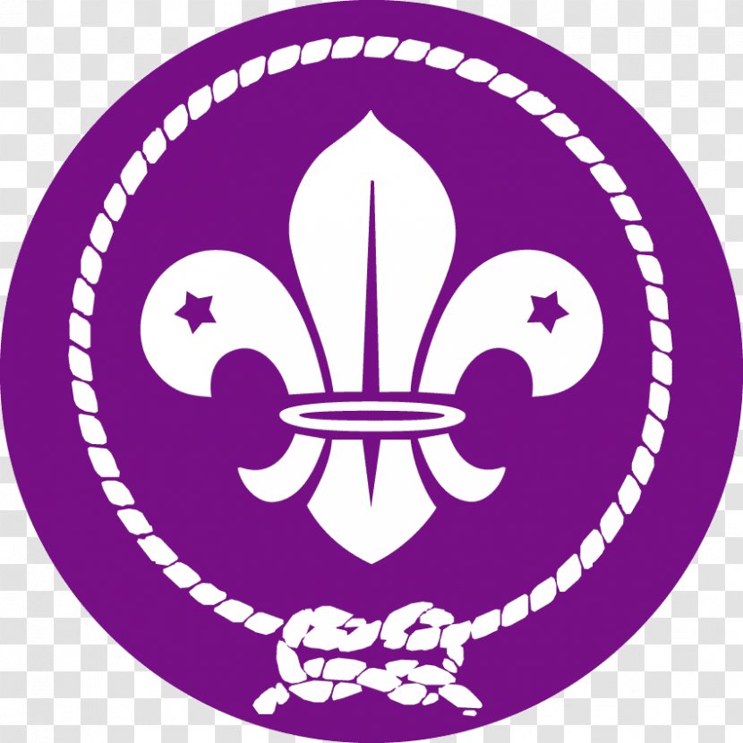 Scouting For Boys World Scout Emblem Organization Of The Movement Cub - Boy Scouts America Transparent PNG