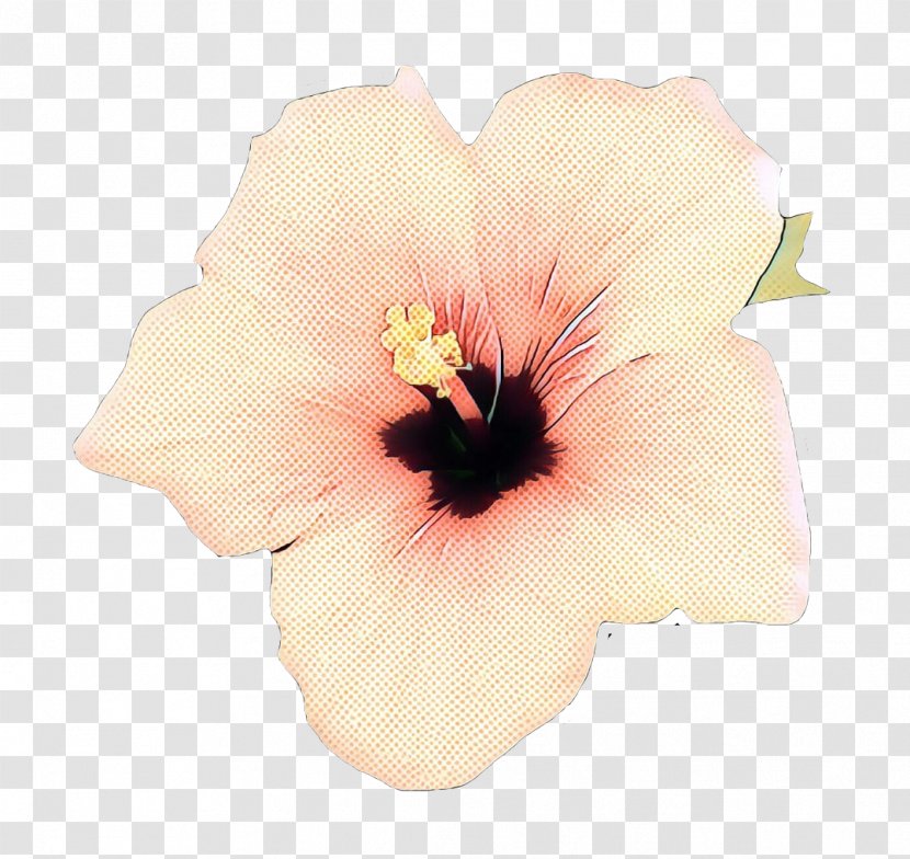 Hibiscus Flower Petal Hawaiian Plant - Retro - Mallow Family Chinese Transparent PNG