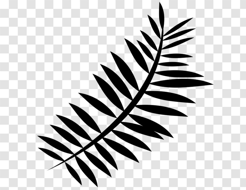 Fern De Beekvallei Ophoven Silhouette Clip Art - Monochrome Photography Transparent PNG