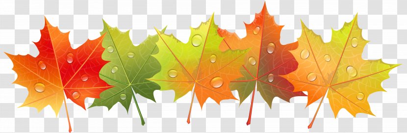 Dew Clip Art - Autumn Leaf Color - Leaves With Drops Image Transparent PNG