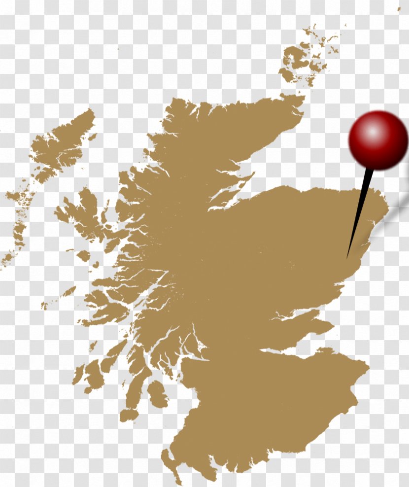 Scotland Vector Graphics Royalty-free Stock Photography Illustration - Tree - Map Transparent PNG