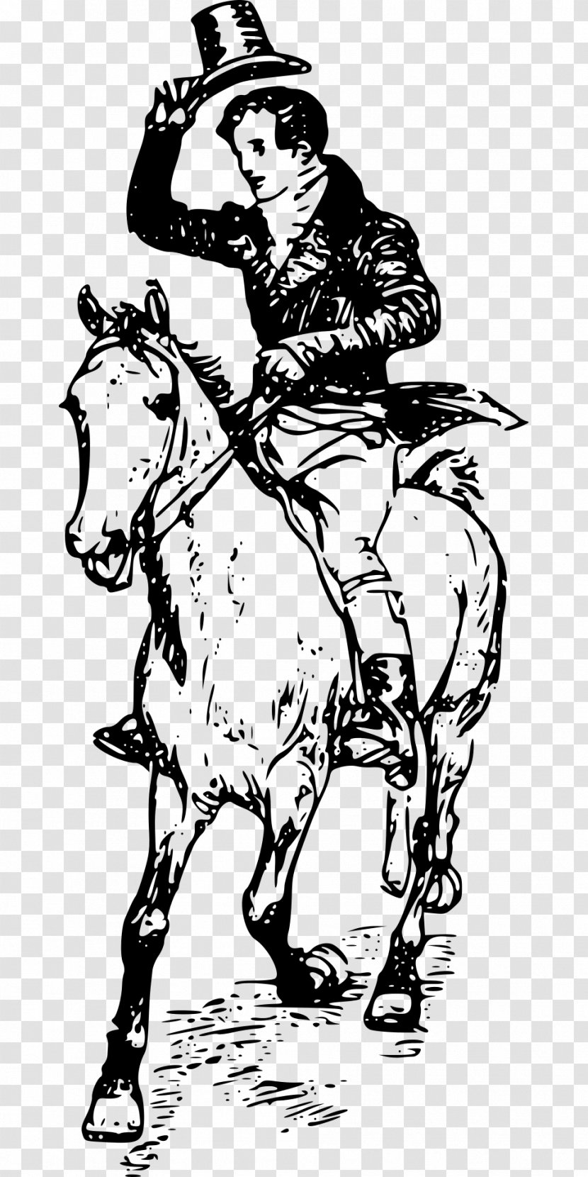 Horse Drawing Clip Art - Male - Rider Transparent PNG