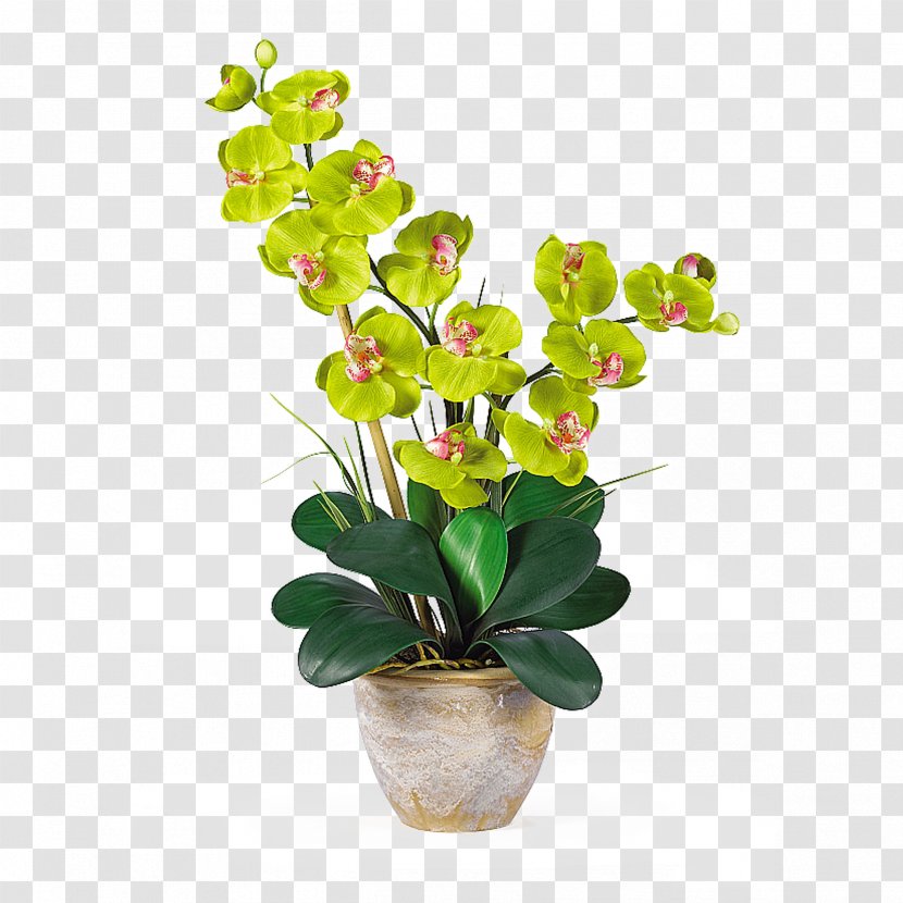 Moth Orchids Artificial Flower Plant Stem - Branch - Hydrangea Transparent PNG