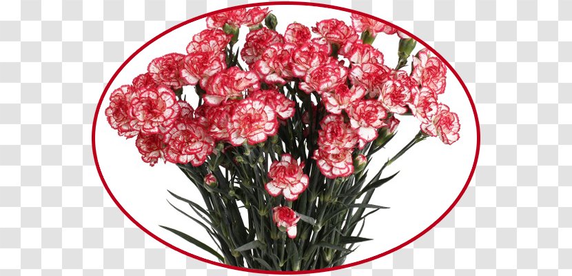 Dom Tsvetochnoy Mody Flower Bouquet Floral Design Garden Roses - Nikopol Ukraine Transparent PNG