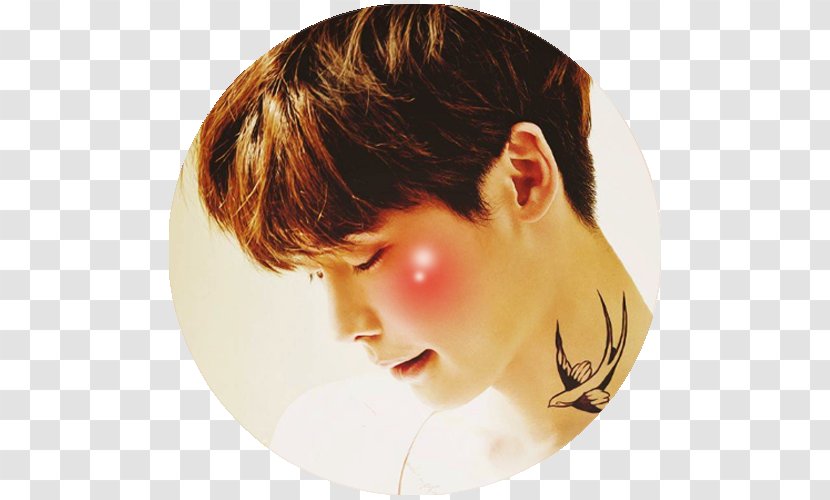 South Korea Actor Seoul Broadcasting System K-pop Male - Brown Hair - Park Bo-gum Transparent PNG