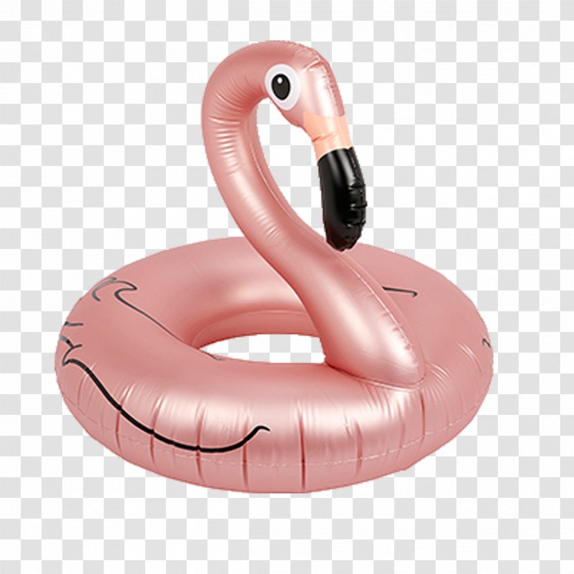 Water Bird Greater Flamingo Inflatable Pink N' Proper - Neck Transparent PNG