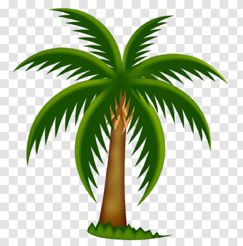 Arecaceae Date Palm Tree Clip Art - Borassus Flabellifer Transparent PNG