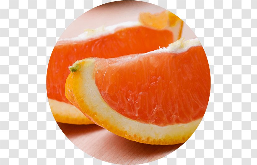 Clementine Grapefruit Mandarin Orange Tangerine Tangelo Transparent PNG