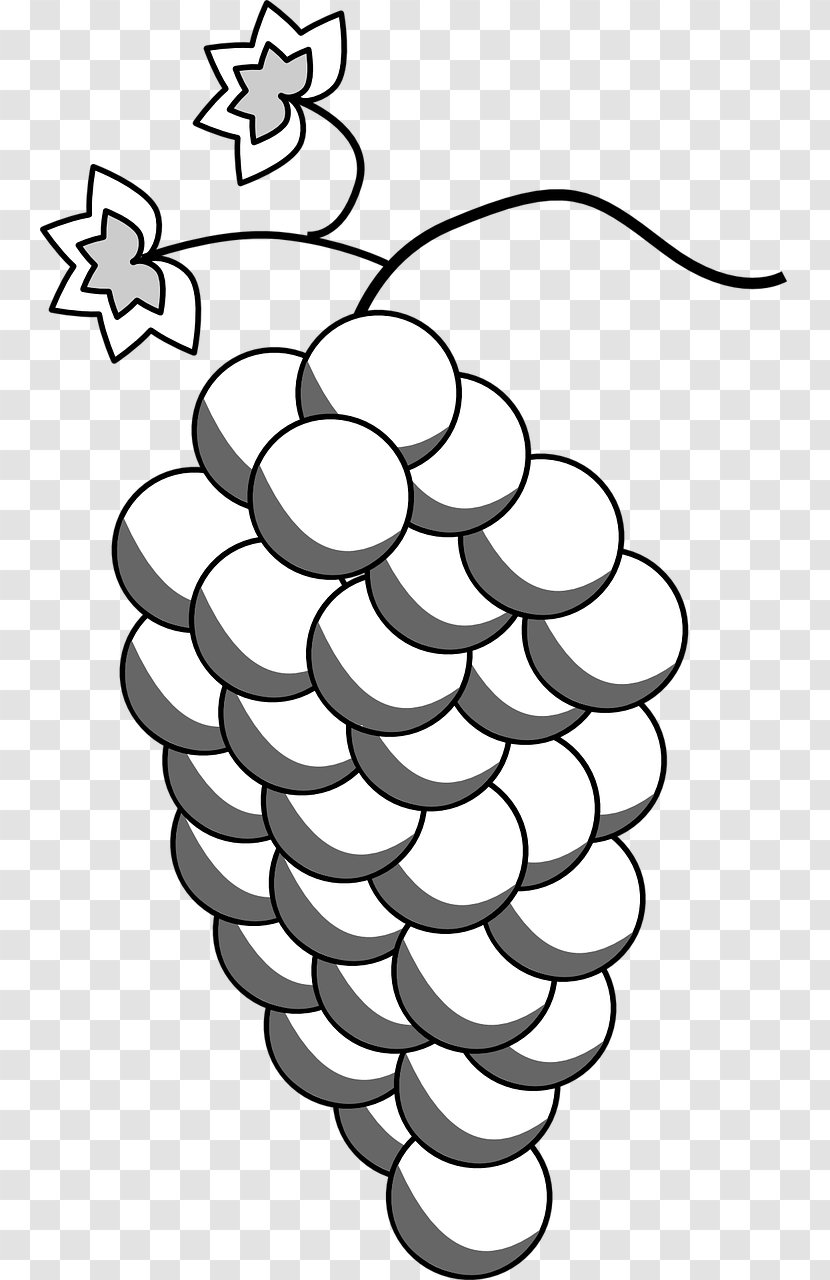 Grape Wine Drawing Clip Art Transparent PNG