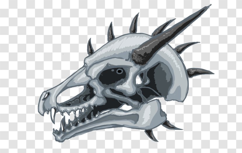 Skull Sketch Illustration Skeleton Car - Dragon Transparent PNG