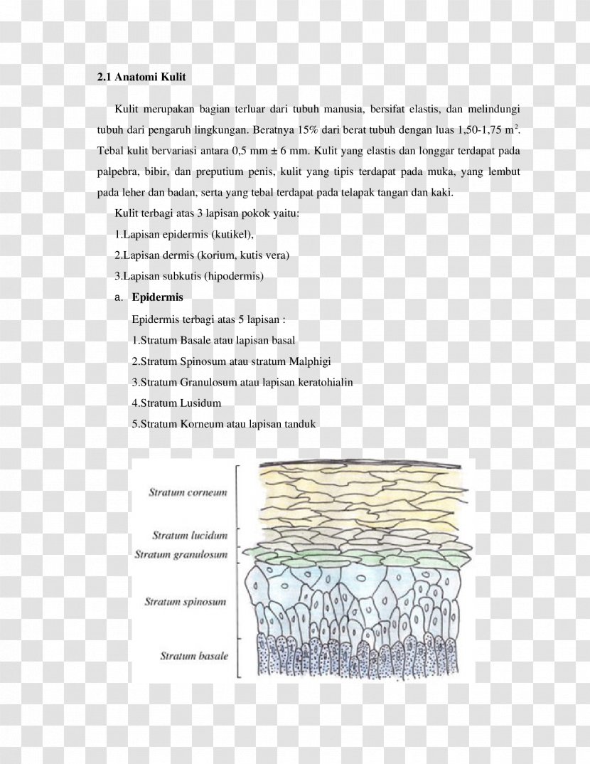 Document Line Pattern - Text - Design Transparent PNG