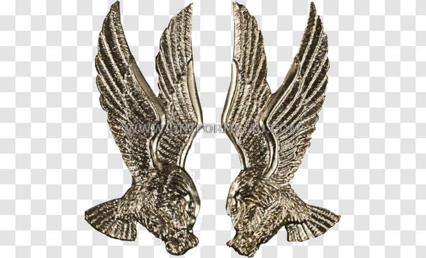 Eagle Jewellery - Wing - Military Aircraft Transparent PNG
