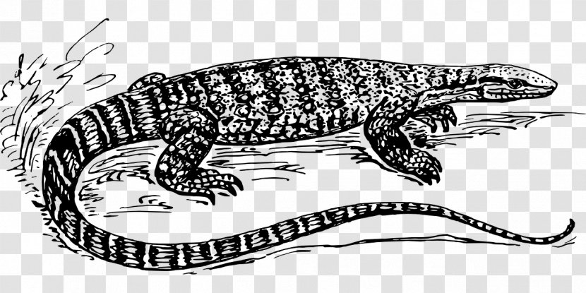Lizard Komodo Dragon Reptile Alligators Crocodile - Amphibian Transparent PNG