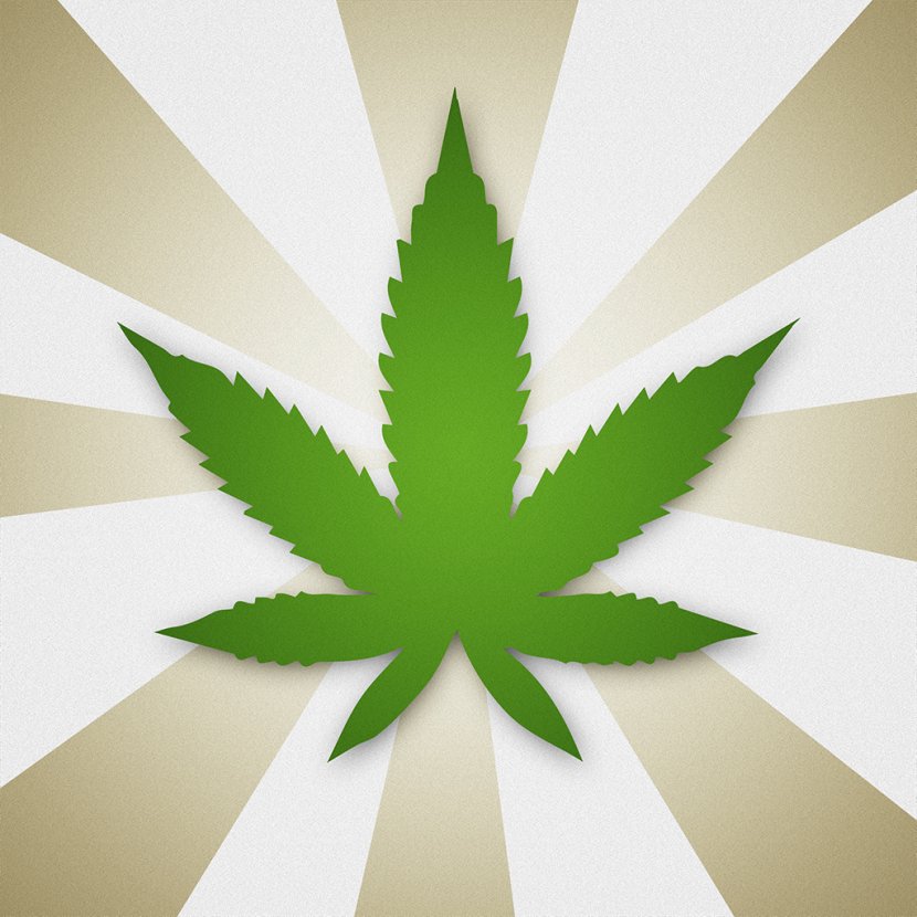 Car Adult Use Of Marijuana Act Driving Under The Influence Cannabis - Plant Transparent PNG