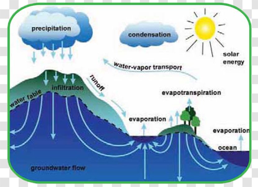 Water Cycle Worksheet Ocean Nitrogen - Process Transparent PNG