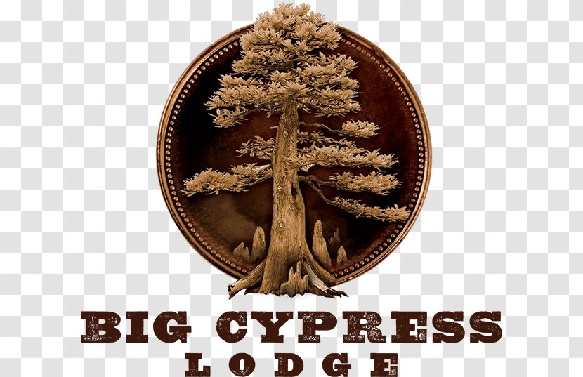 Big Cypress Lodge Accommodation Hotel Branson Bass Pro Drive - Symbol Transparent PNG