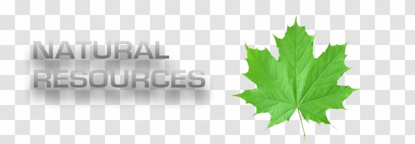 Desktop Wallpaper Natural Environment Leaf - Wind Industry Transparent PNG