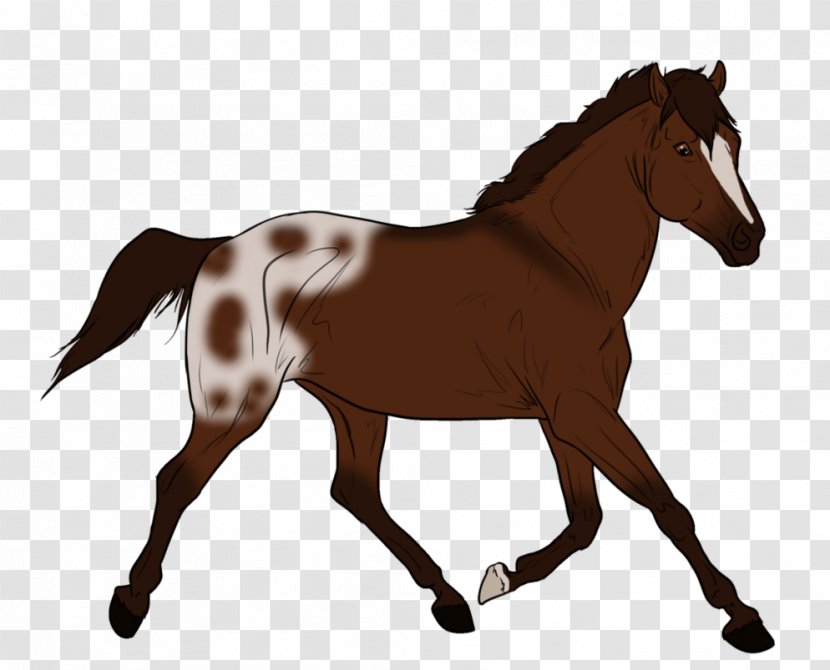 Horse Wall Decal Mane Colt Mare - Pony Transparent PNG