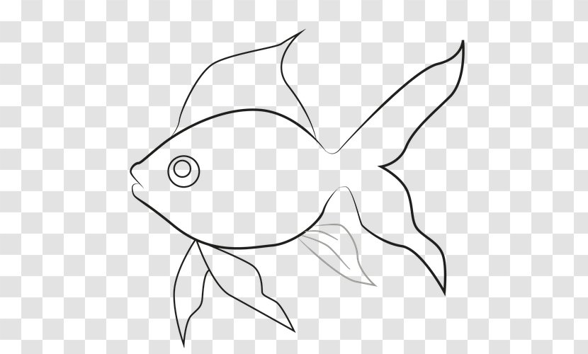 Drawing Line Art USMLE Step 3 Goldfish Clip - Mammal - Butterfly Transparent PNG