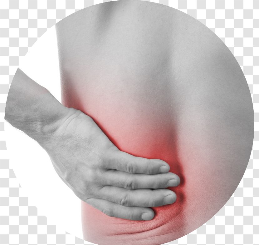 Middle Back Pain Neck Low Physical Therapy Human - Flower Transparent PNG