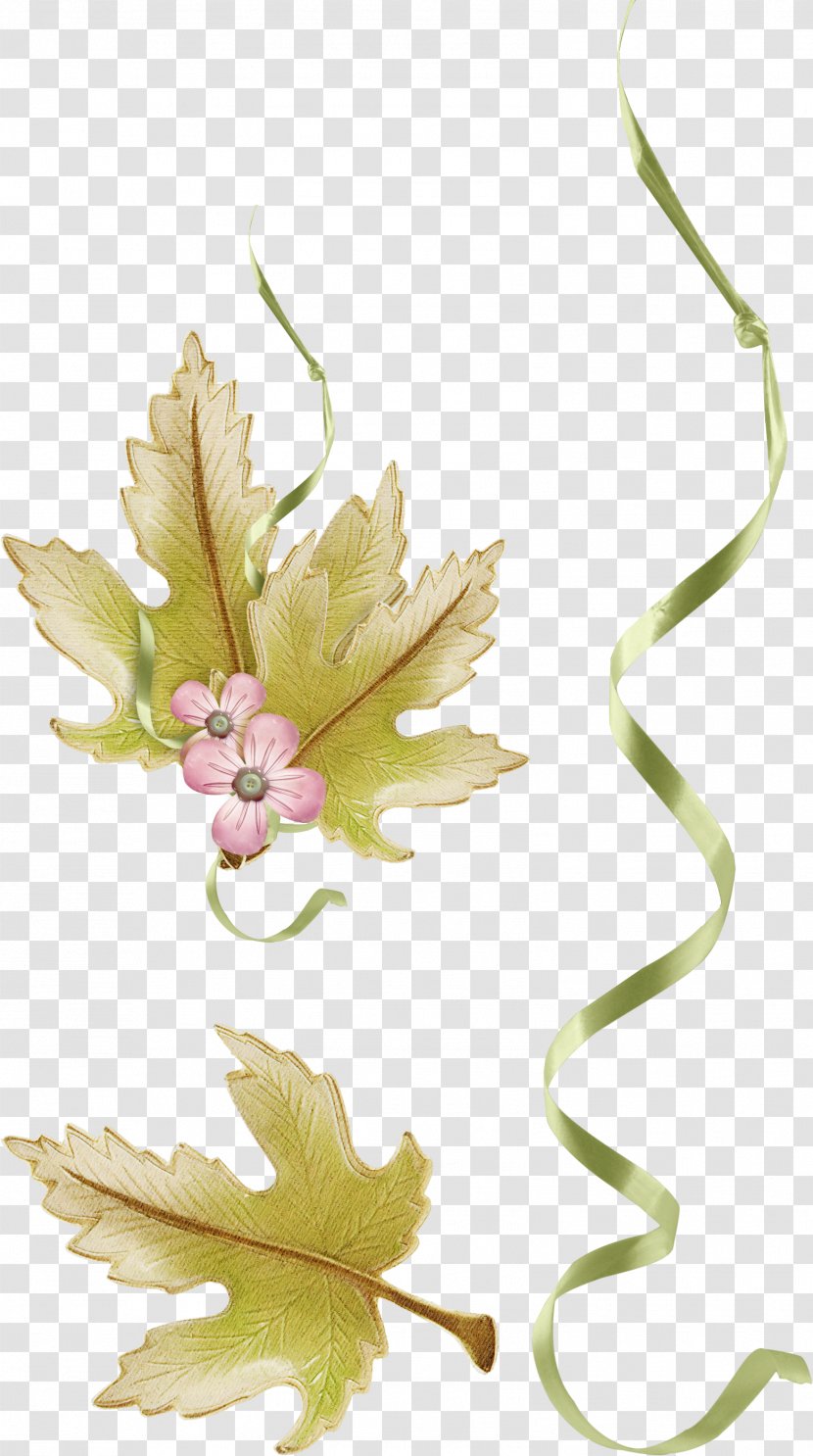 Floral Design Leaf Flower Clip Art Transparent PNG