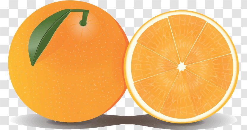 Grapefruit Orange Lemon Clip Art - Lime - Cliparts Transparent PNG