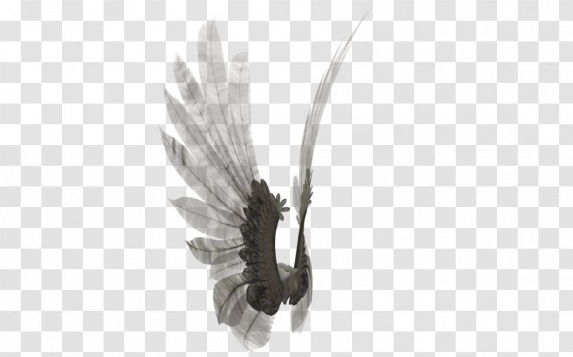 Wing DeviantArt Insect Butterfly Feather - Moth - Angel Transparent PNG