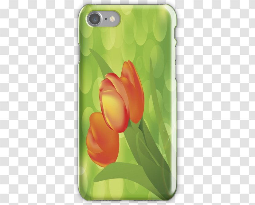 Tulip Petal Mobile Phone Accessories Phones IPhone - Flowering Plant Transparent PNG