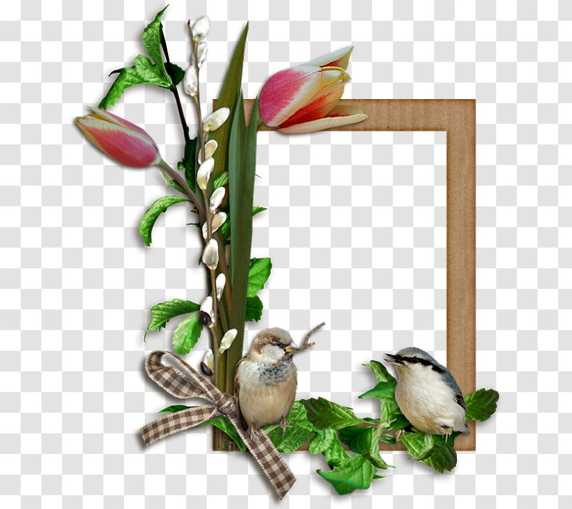 Picture Frames Bird Easter - Supply - FLORES Transparent PNG