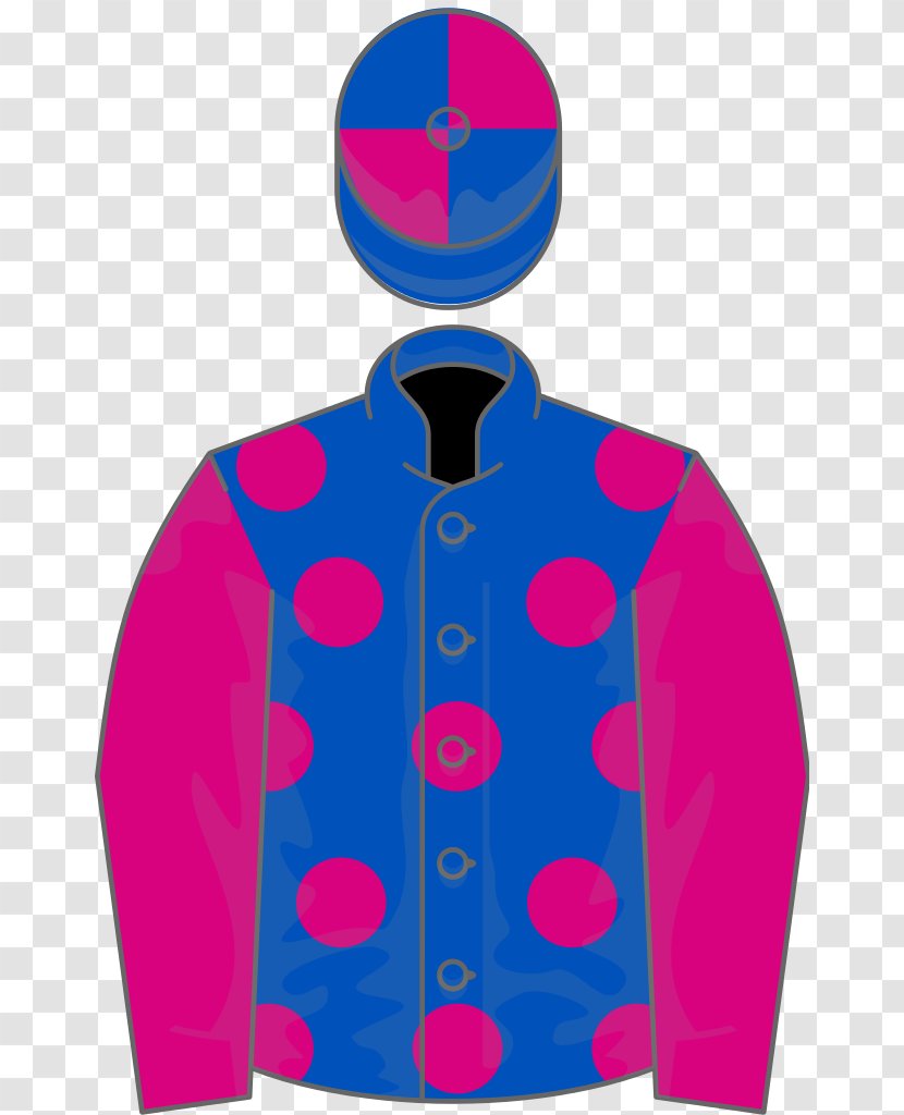 Horse Racing 2016 Grand National Wokingham Stakes - Purple Transparent PNG