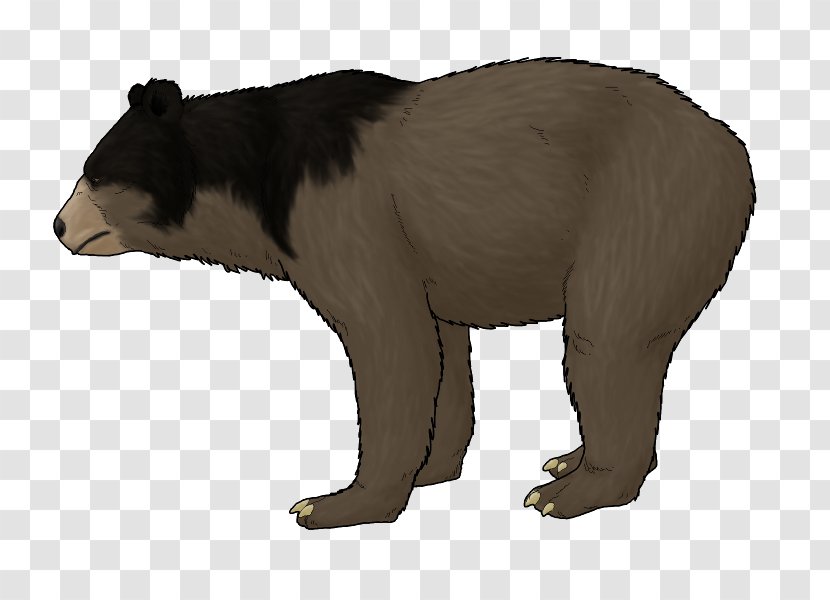 Grizzly Bear Pliocene Ursus Etruscus Minimus Himalayan Brown - Mammal - Sloth Transparent PNG