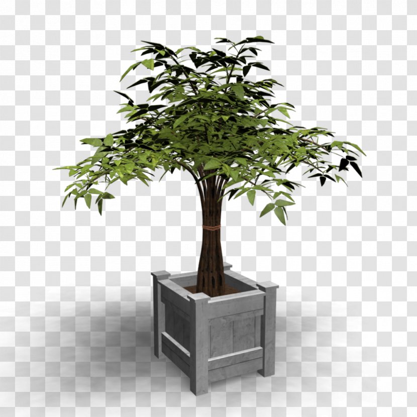 Bonsai Tree Flowerpot Bathroom - Living Room - Plant Flower Transparent PNG