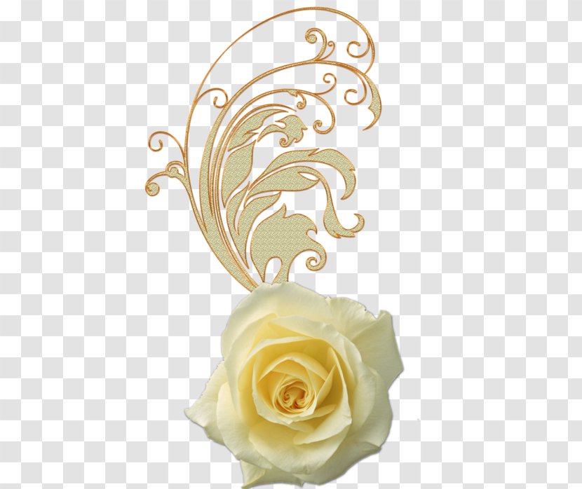 Garden Roses Flower Petal Transparent PNG