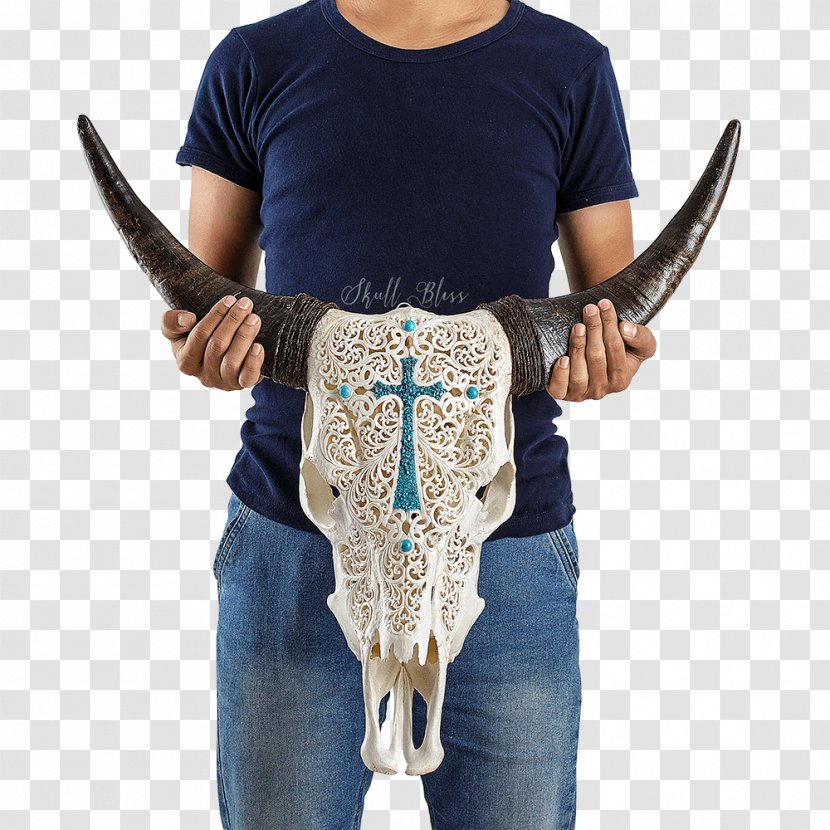 XL Horns Skull Cattle Neck - Carving - Bull Transparent PNG