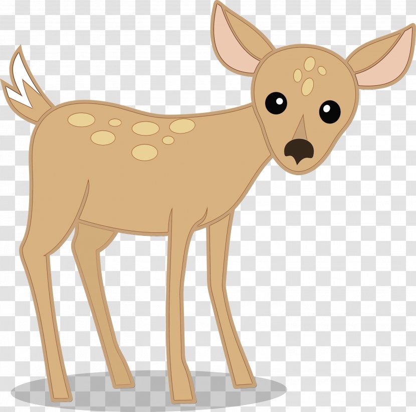 Deer Fawn Roe Wildlife Tail Transparent PNG