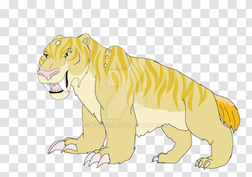 Tiger Animal Whiskers Roar Wildlife - Small To Medium Sized Cats Transparent PNG