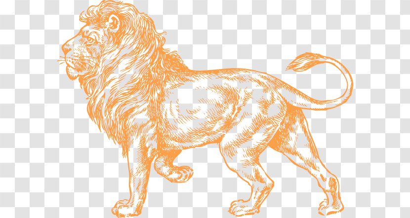 Lionhead Rabbit Black And White Lion Clip Art - Cat Like Mammal - Mighty Cliparts Transparent PNG