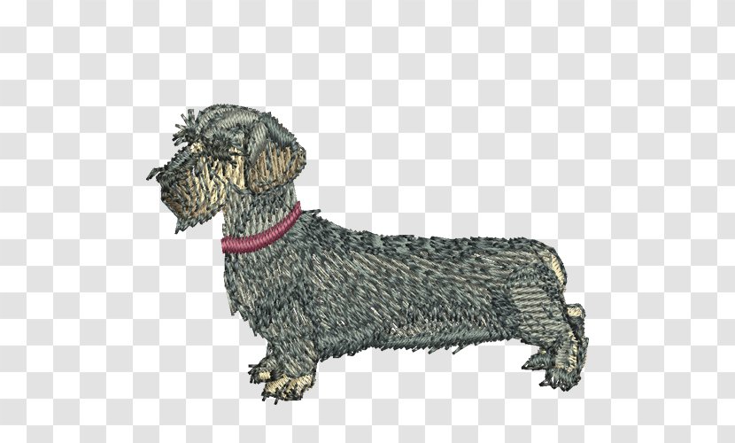 Cesky Terrier Dachshund Dog Breed Razas Nativas Vulnerables Transparent PNG