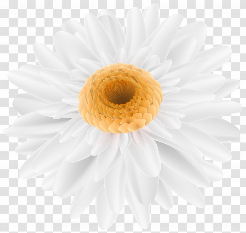 Stock Photography Royalty-free Depositphotos - Royalty Payment - White Flower Transparent PNG