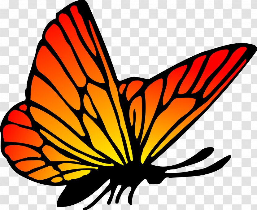 Butterfly Drawing Clip Art - Insect - Colour Transparent PNG