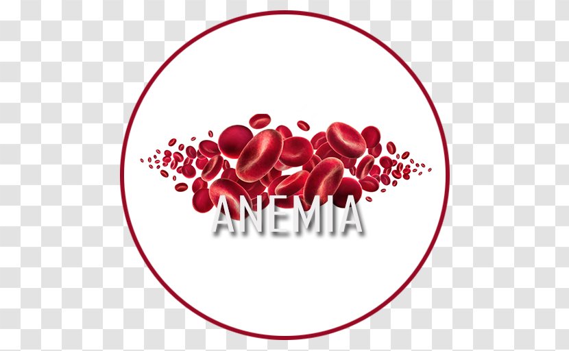 Dietary Supplement Anemia Iron Pain Therapy - Flower - ANEMIA Transparent PNG