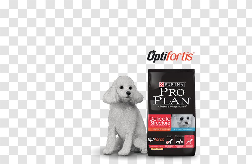 Puppy Dog Breed Poodle Chow Non-sporting Group - Companion Transparent PNG