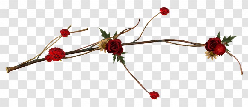 Cut Flowers Twig Rose Hip Plant Stem - Wreath Transparent PNG