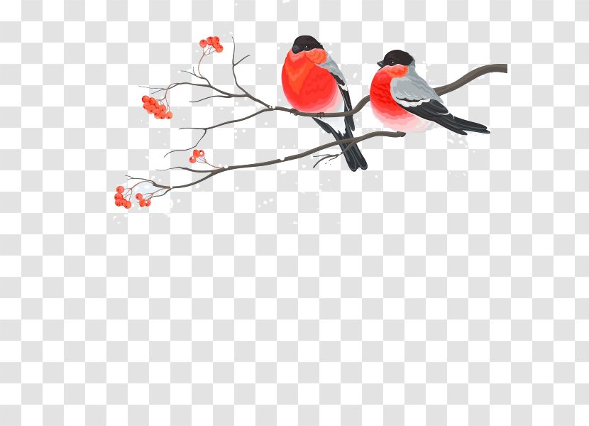 Painting Birds - Cartoon - Bird Transparent PNG