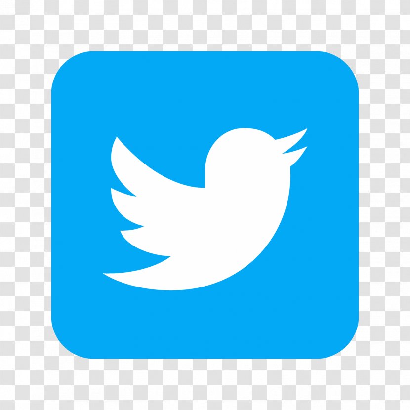 Social Media Logo Twitter - Beak Transparent PNG