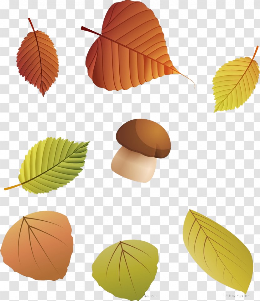 Autumn Leaf Color Deciduous - Designer - Leaves Mushrooms Transparent PNG